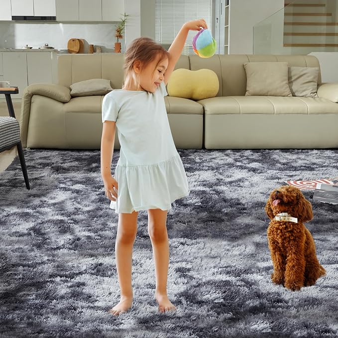 Ultra Soft Rug for Living Room, 6X9 Fluffy Shag Area Rug for Bedroom, Modern - Image 8