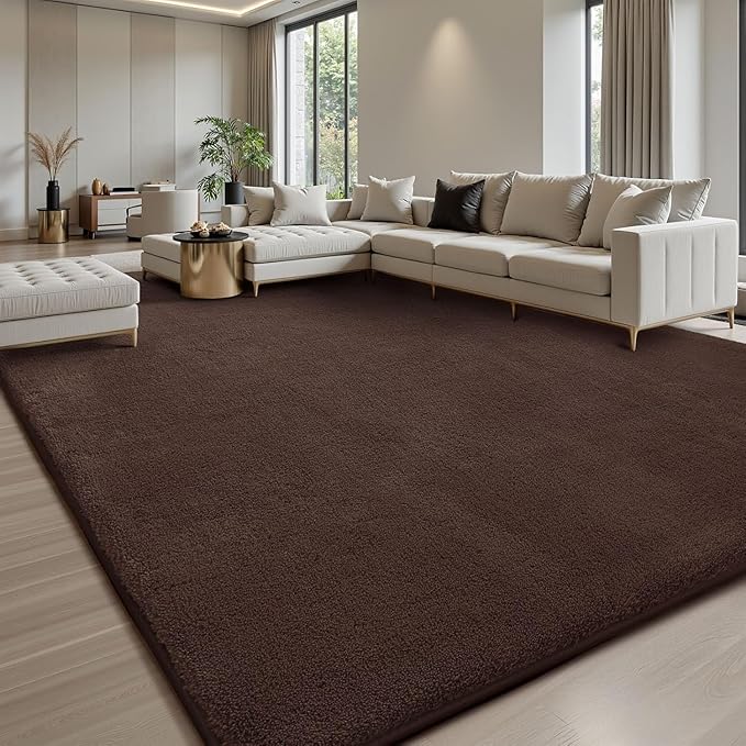Sour Lemon 4x6 Area Rugs for Living Room, Soft Area Rug Fluffy Rugs for - Image 6