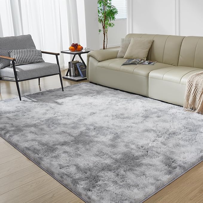 Ultra Soft Rug for Living Room, 4X6 Fluffy Shag Area Rug for Bedroom, Modern by Fairblink