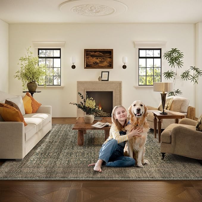 Machine Washable Rugs for Living Room: 6x9 Area Rugs Boho Vintage Rugs Stain - Image 6