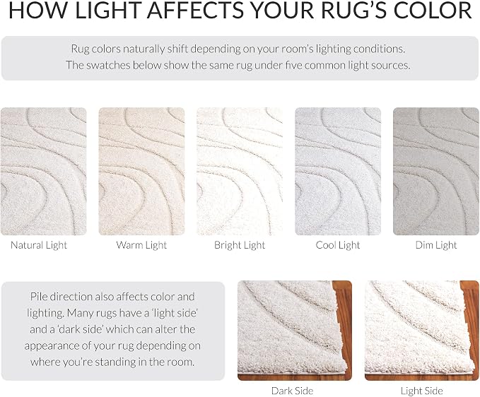 SAFAVIEH Florida Shag Collection Accent Rug - Image 9