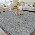 8x10 Area Rug for Living Room, Ultra Soft Fluffy Shag Rugs for Bedroom by Yidanamy