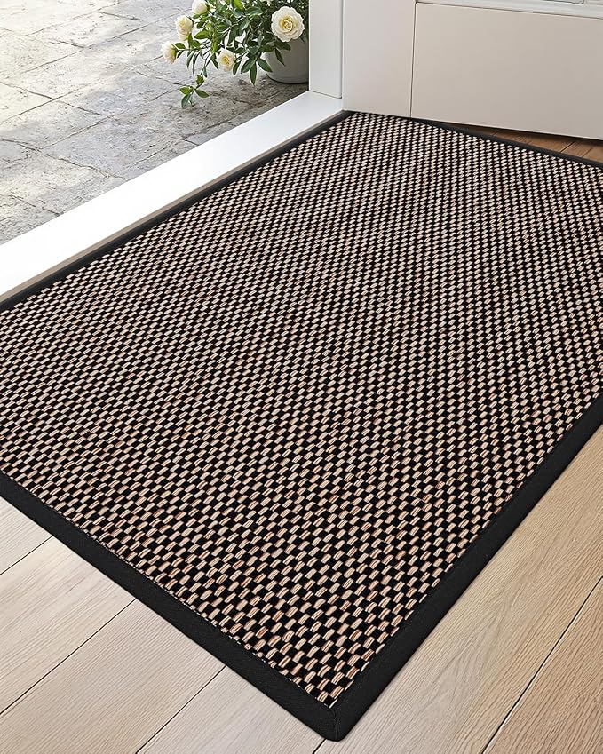 DEXI Ultra Thin Entryway Indoor Door Mat 17x30, Non Slip Rubber Backing Inside by DEXI