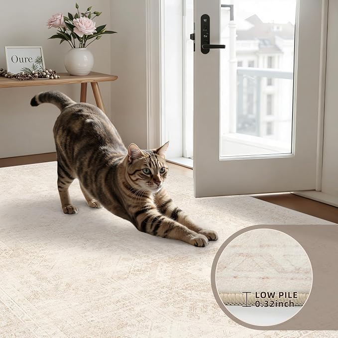4x6 Area Rugs for Living Room: Vintage Boho Neutral Washable Rug Indoor Soft - Image 7