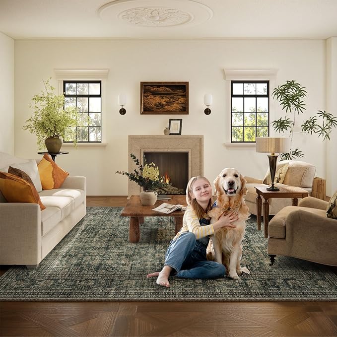 Washable Living Room Area Rug: 10x14 Rugs - Image 6