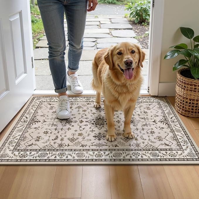 HEBE Washable Aera Rug 2'x 3' Non Slip Door Mat Indoor Entrance, Low Pile - Image 8