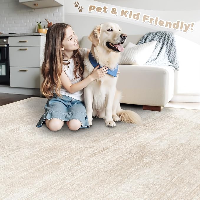 pmtsns Area Rugs 6x9 for Living Room: Washable Rug Modern Abstract Neutral Soft - Image 5