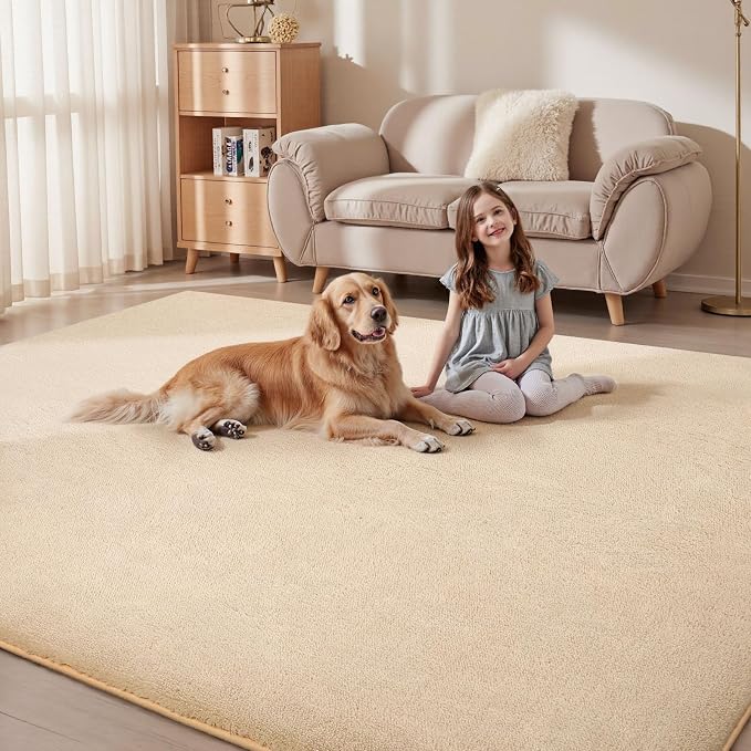 Sour Lemon 9x12 Area Rugs for Living Room, Soft Large Area Rug Fluffy Rugs for - Image 6