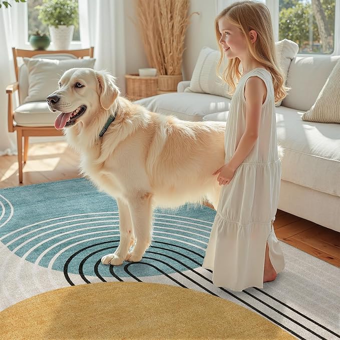 DCX Machine Washable 8x10 Area Rugs, Midcentury Modern Non Slip Stain Resistant - Image 3