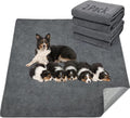 LOOBANI Washable Pee Pad for Dogs, 2 Packs Non-Slip Puppy Training Pads by LOOBANI