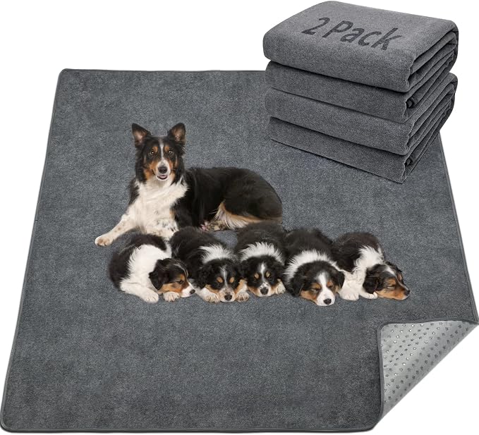 LOOBANI 2 Packs Extra Large Reusable Dog Mat by LOOBANI
