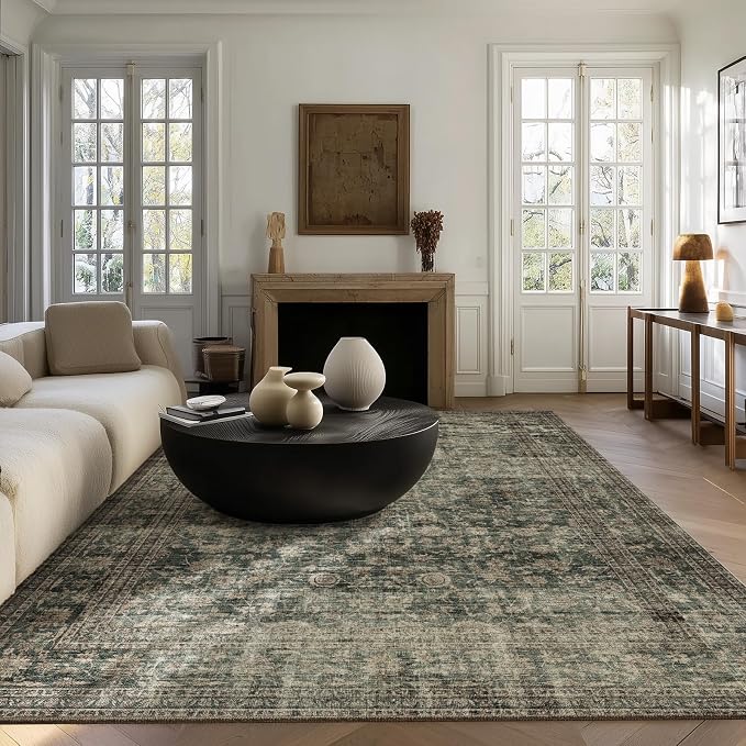 Washable Living Room Area Rug: 5x7 Rugs - Image 2