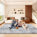 6x9 Area Rugs for Living Room, Large Fluffy Rugs for Bedroom, Fuzzy Shag Soft by Unknown