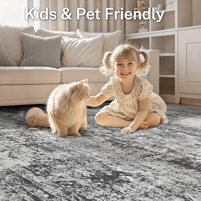Area Rug Living Room - Image 7