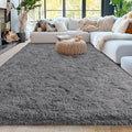 5x7 Fluffy Fuzzy Area Rug for Living Room Bedroom, Ultra Soft Rugs for Living by Awaytail