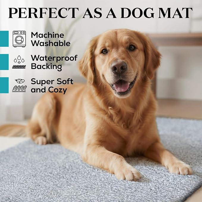 Premium Microfiber Indoor Door Mat – 20"x30" Washable Entry Mat, Waterproof - Image 2