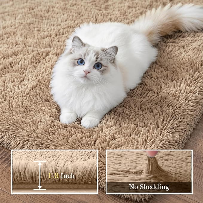 6x9 Area Rugs for Living Room Bedroom: Ultra Soft Fluffy Shag Rug Upgrade - Image 5