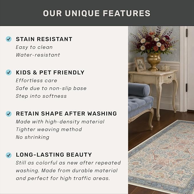 Hazo Haus Soft Red Blue 2x10 Long Hallway Runner Rug, Boho Farmhouse Rug - Image 6