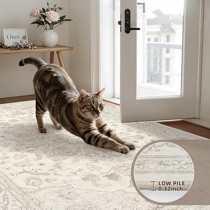 4x6 Area Rugs for Living Room: Vintage Boho Neutral Washable Rug Indoor Soft - Image 7