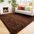 Amdrebio Dark Brown Area Rugs for Bedroom Living Room, 5x7 Fluffy Shaggy Plush by Amdrebio