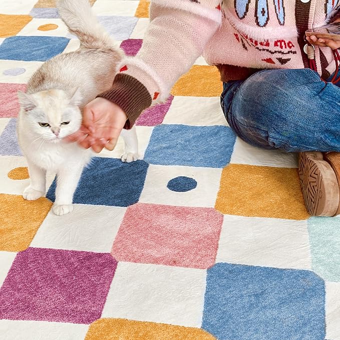 jinchan Macy Area Rug 2x3 Kids Entryway Washable Indoor Doormat Small Soft Non - Image 4