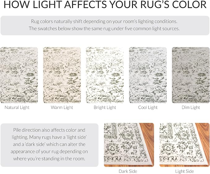 SAFAVIEH Adirondack Collection Area Rug - Image 9
