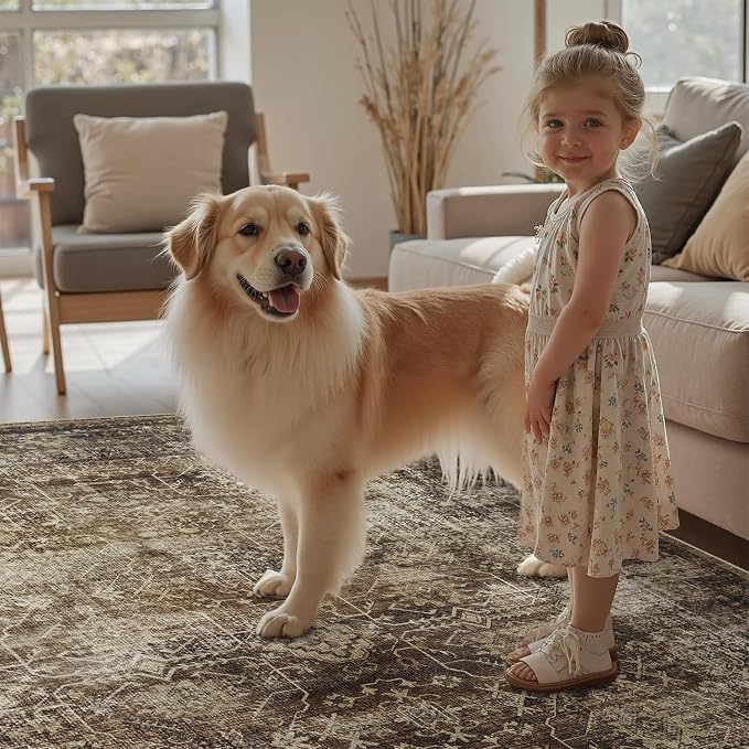 DCX Washable 6x9, Kid & Pet Friendly - Image 6