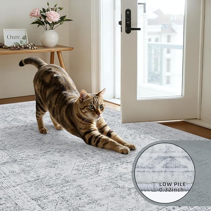 3x5 Area Rugs for Living Room: Vintage Boho Neutral Washable Rug Indoor Soft - Image 7