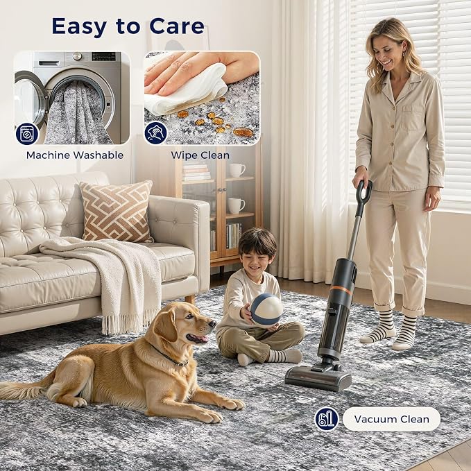 Area Rug Living Room Rugs - Image 7