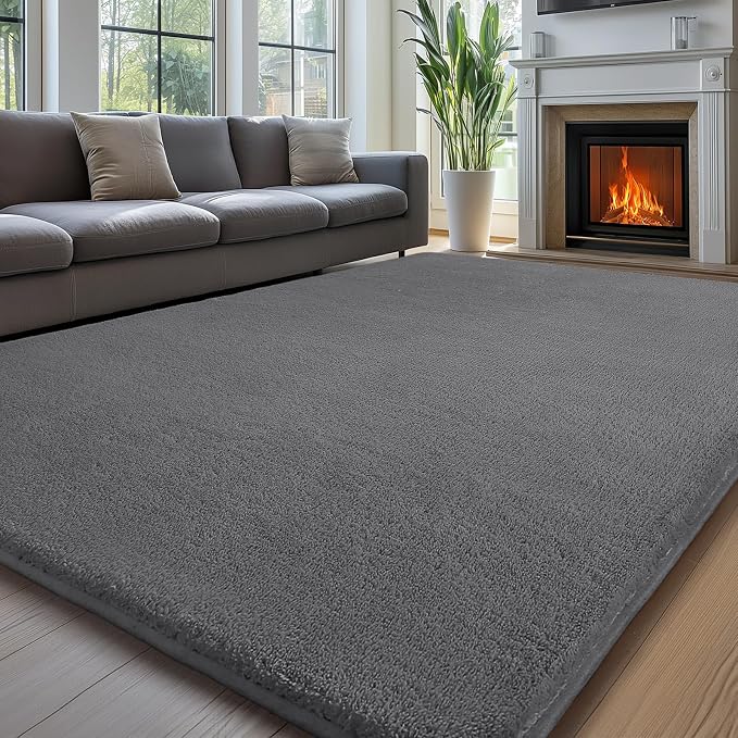 Sour Lemon 6x9 Area Rugs for Living Room, Soft Large Area Rug Fluffy Rugs for by SourLemon