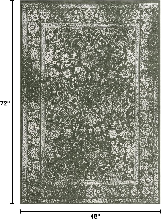 SAFAVIEH Area Rug 4x6 - Image 2