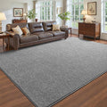 Pettop 5x7 Grey Area Rugs for Living Room Bedroom, Thickened Memory-Foam Throw by Pettop