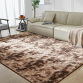 Ultra Soft Rug for Living Room, 4X6 Fluffy Shag Area Rug for Bedroom, Modern by Fairblink