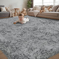 6x9 Area Rug for Living Room:Ultra Soft Fluffy Shag Light Grey Rugs, Large by Unknown