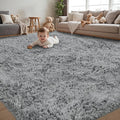 4x6 Area Rug for Living Room:Ultra Soft Fluffy Shag Light Grey Rugs, Large by Unknown