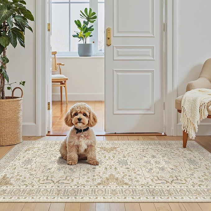 Madane Washable Area Rug 2x4, Small Entryway Rug Non-Slip Vintage Door Mat - Image 4