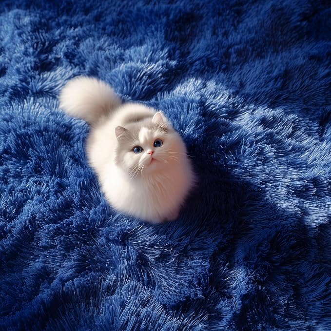 PAGISOFE Blue Rug 4x6 Ft Fluffy Shag Rugs - Image 9