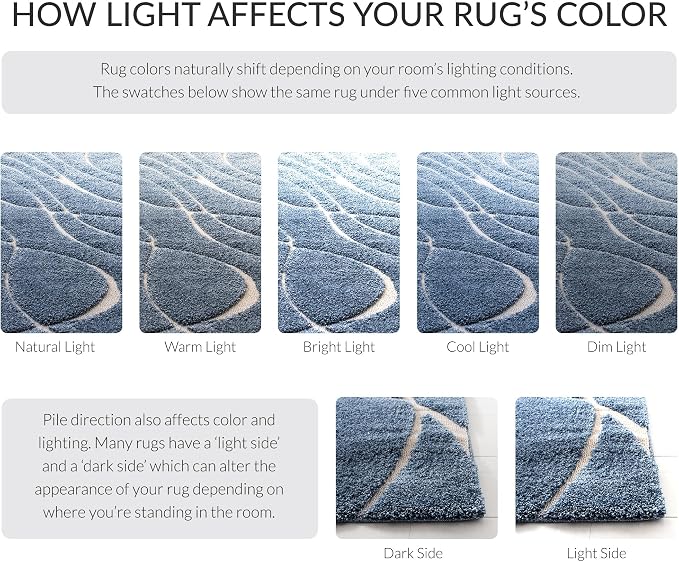 SAFAVIEH Florida Shag Collection Area Rug - Image 10