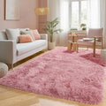PAGISOFE Shaggy Fluffy Area Rugs Carpets by PAGISOFE