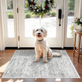 Washable Rug 2x3 for Entryway, Small Non-Slip Kitchen Throw Mat for Sink by BYYVOORugsforYourHome