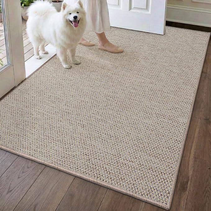 DEXI Ultra Thin Door Mat Indoor Entrance 48x72, Non Slip Rubber Backed Entryway by DEXI