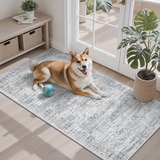 Soalmost 2x4 Washable Rugs for Kitchen, Powder Room Small Area Rug Non-Slip by Soalmost
