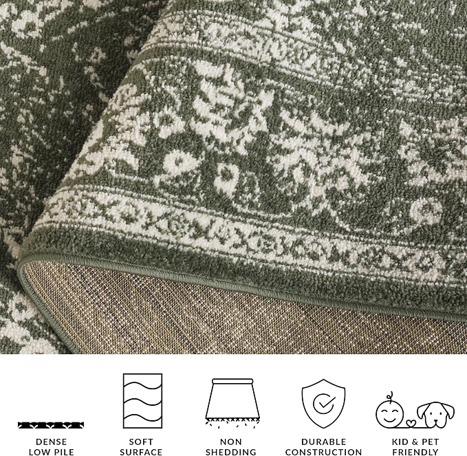 SAFAVIEH Adirondack Collection Area Rug - Image 6