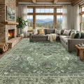 RELEANY Area Rugs Large 9'x12' Washable Non-Slip, Floral Vintage Distress by RELEANY