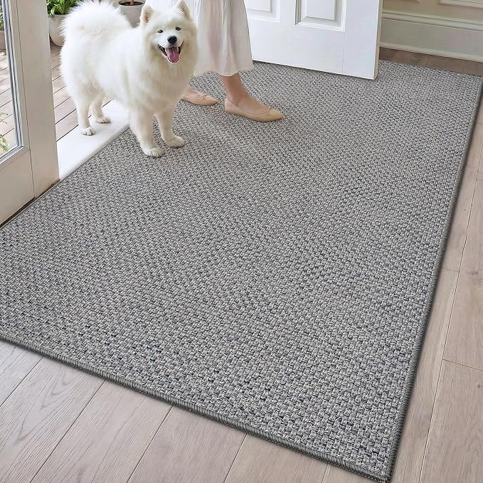 DEXI Ultra Thin Door Mat Indoor Entrance 32x48, Non Slip Rubber Backed Entryway by DEXI