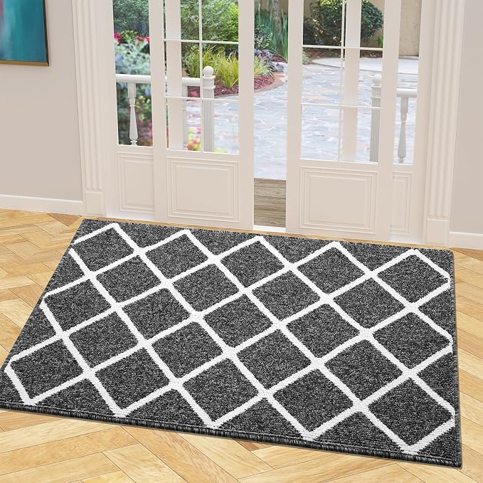 Finchitty Indoor Door Mat, Dirt Resistant and Absorbent, Low-Profile, Washable by Finchitty