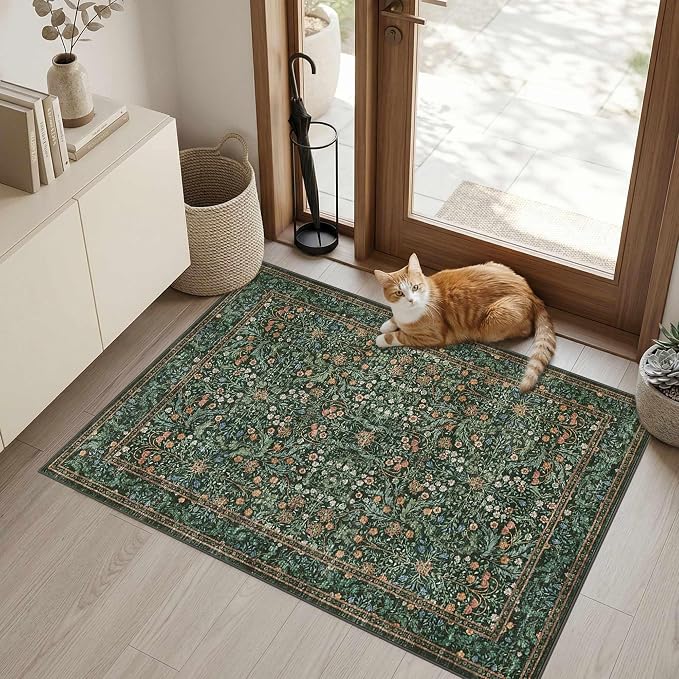 Rugxara Entryway Rug Door Mat, Washable Samll 2x3 Rug, Boho Green Front Door Mat - Image 2