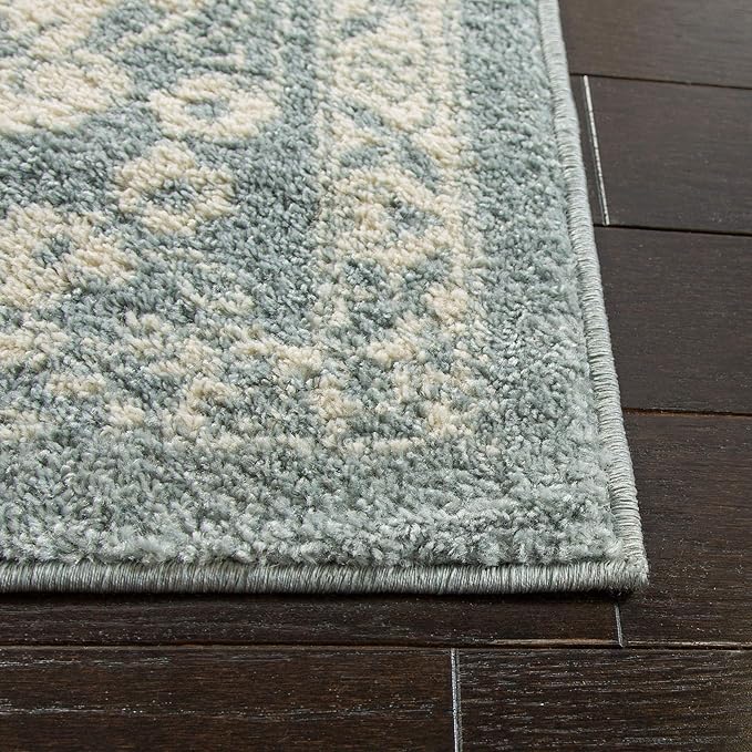 SAFAVIEH Area Rug 9x12 - Image 4