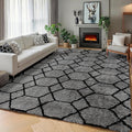 ONASAR 5x7 Area Rugs for Living Room Bedroom, Fluffy Grey and Black Throw Rug by ONASAR