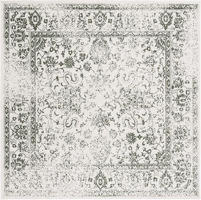 SAFAVIEH Adirondack Collection Area Rug by Unknown